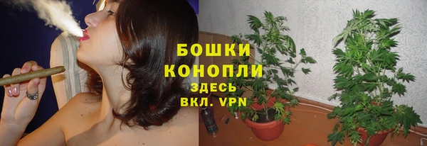 прущие крисы Верхний Тагил