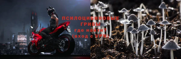 молекула духа Бронницы