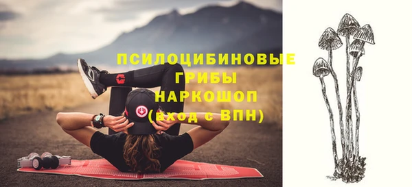 соль ск Верея