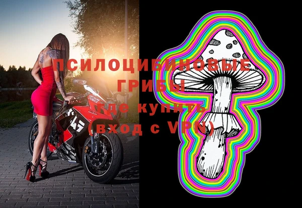 ПСИЛОЦИБИНОВЫЕ ГРИБЫ Верхнеуральск