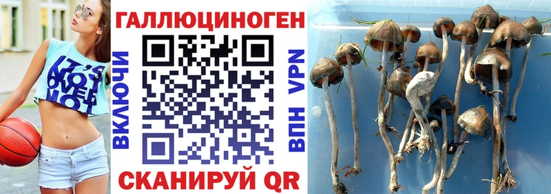 Псилоцибиновые грибы мухоморы закладки Норильск